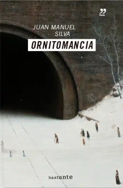 528485-ornitomancia